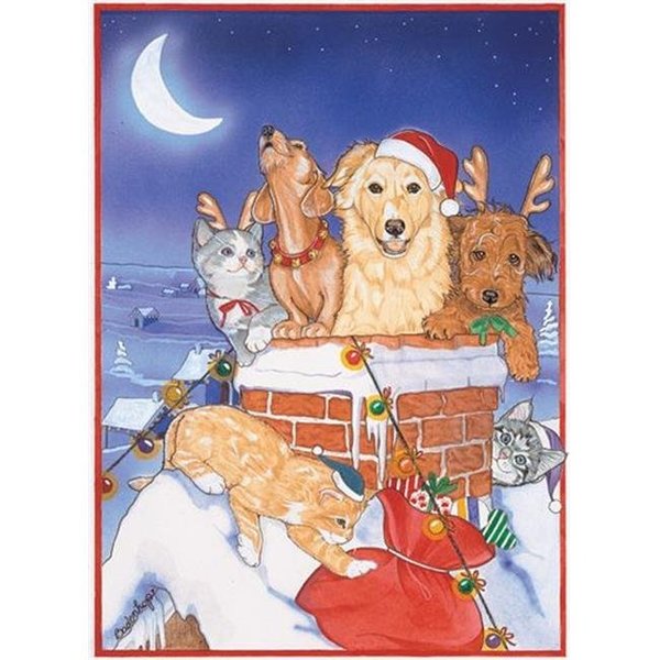 Pipsqueak Productions Pipsqueak Productions C492 Mix Dog With Cat Holiday Boxed Cards C492